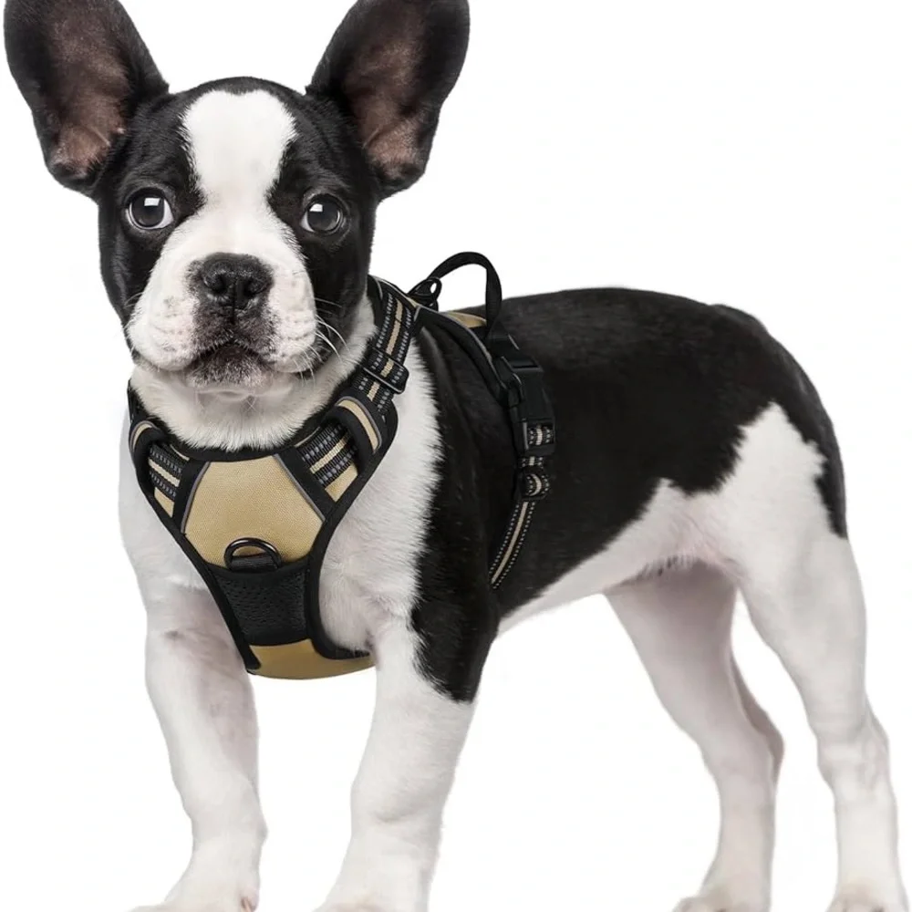 Rabbitgoo No Pull Adjustable Dog Harness Small NWOT